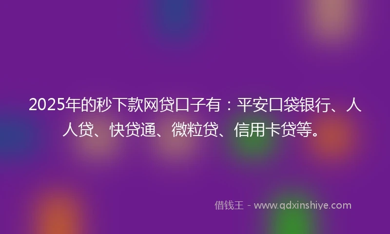 2025年的秒下款网贷口子有：平安口袋银行、人人贷、快贷通、微粒贷、信用卡贷等。