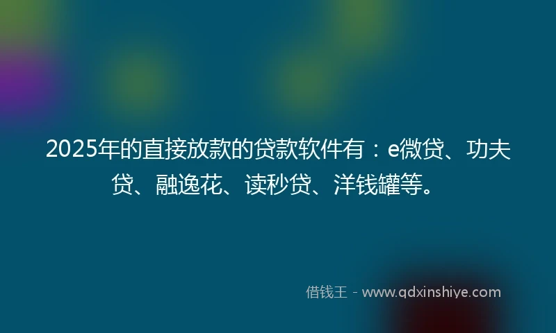 2025年的直接放款的贷款软件有：e微贷、功夫贷、融逸花、读秒贷、洋钱罐等。