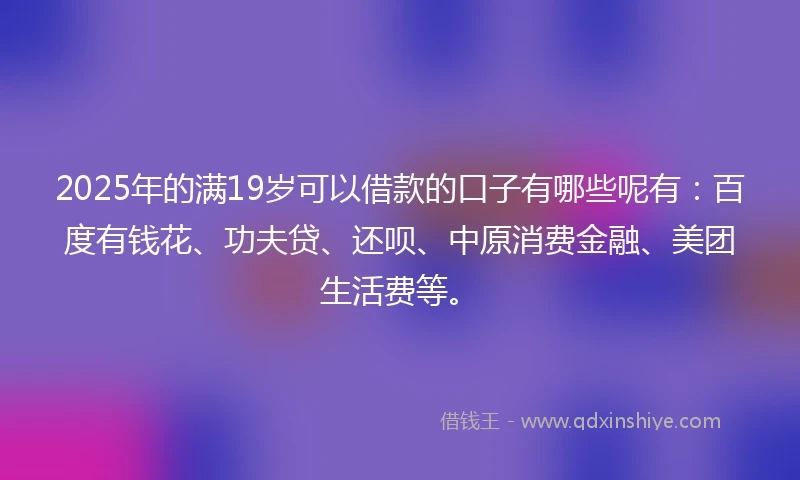 2025年的满19岁可以借款的口子有哪些呢有：百度有钱花、功夫贷、还呗、中原消费金融、美团生活费等。