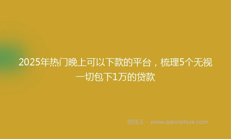 2025年热门晚上可以下款的平台，梳理5个无视一切包下1万的贷款