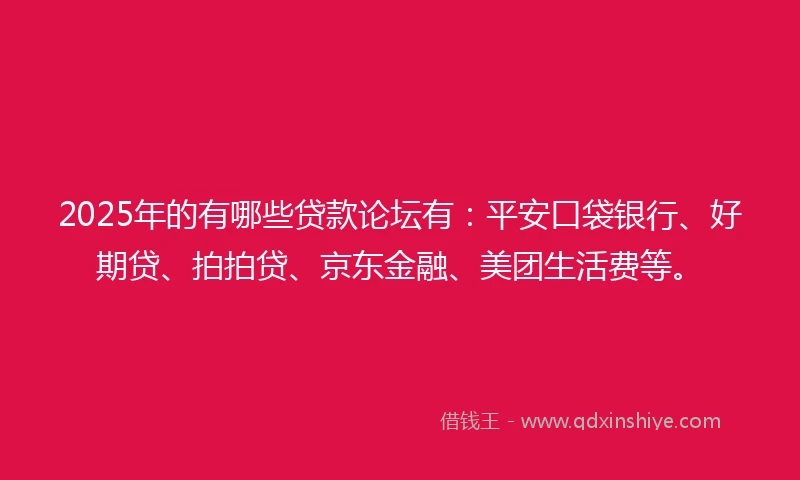 2025年的有哪些贷款论坛有：平安口袋银行、好期贷、拍拍贷、京东金融、美团生活费等。