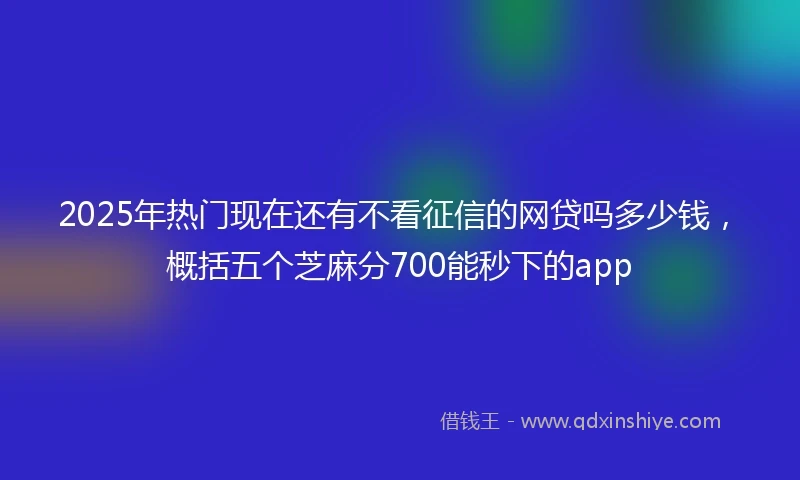 2025年热门现在还有不看征信的网贷吗多少钱，概括五个芝麻分700能秒下的app