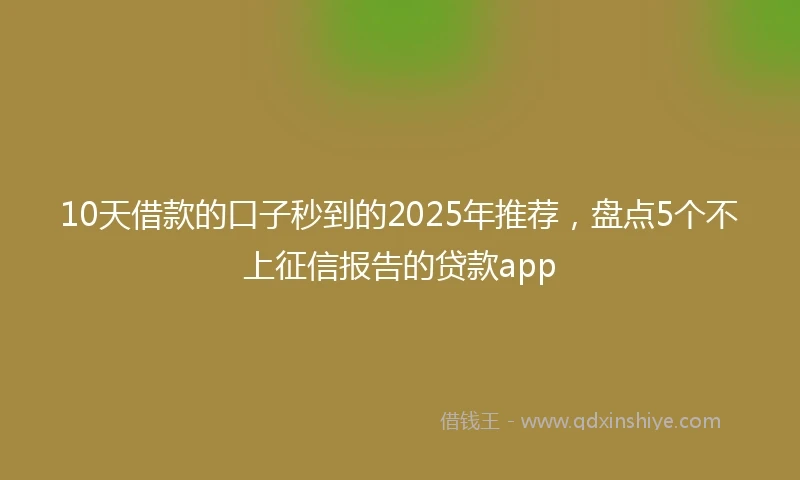 10天借款的口子秒到的2025年推荐，盘点5个不上征信报告的贷款app