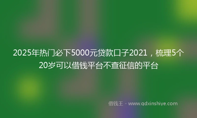 2025年热门必下5000元贷款口子2021，梳理5个20岁可以借钱平台不查征信的平台