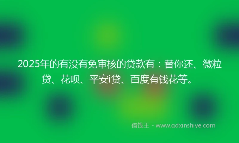 2025年的有没有免审核的贷款有：替你还、微粒贷、花呗、平安i贷、百度有钱花等。
