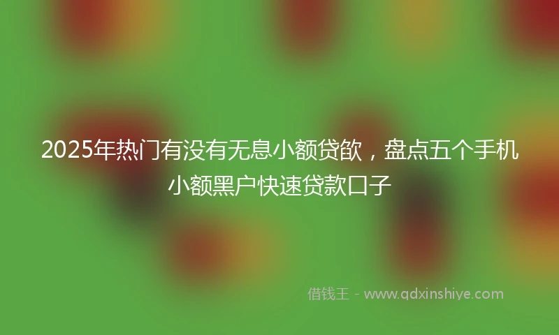 2025年热门有没有无息小额贷欿，盘点五个手机小额黑户快速贷款口子