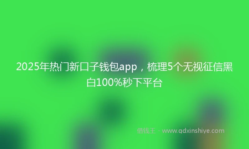 2025年热门新口子钱包app，梳理5个无视征信黑白100%秒下平台