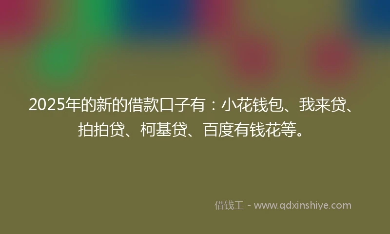 2025年的新的借款口子有：小花钱包、我来贷、拍拍贷、柯基贷、百度有钱花等。