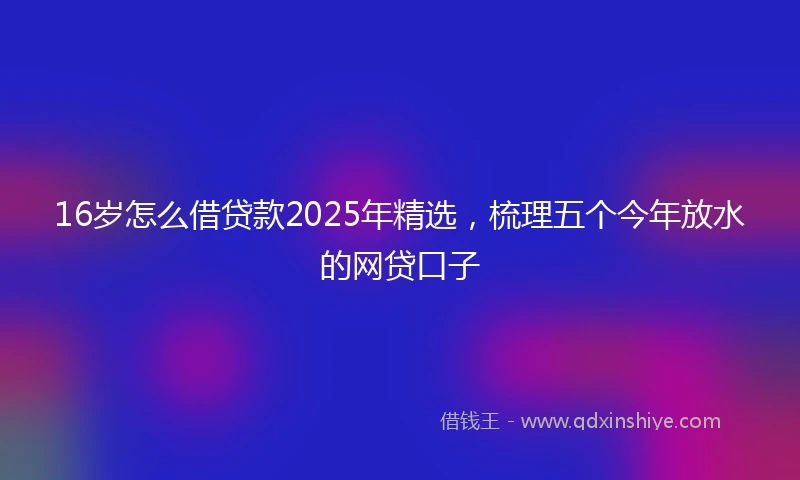 16岁怎么借贷款2025年精选，梳理五个今年放水的网贷口子