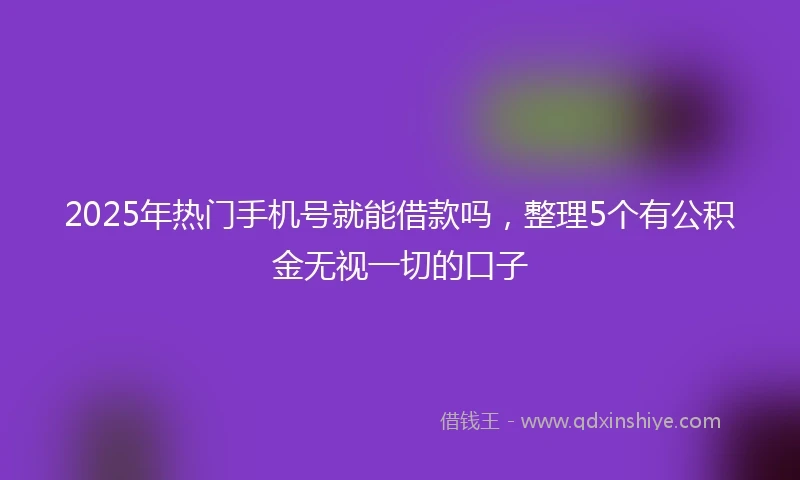 2025年热门手机号就能借款吗，整理5个有公积金无视一切的口子