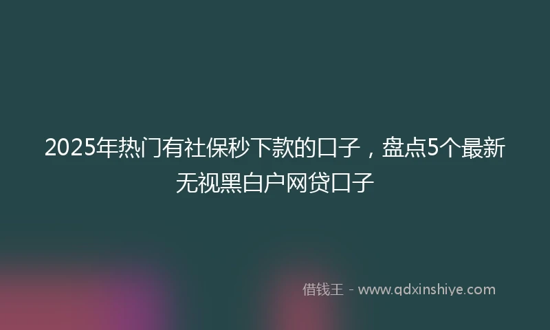 2025年热门有社保秒下款的口子，盘点5个最新无视黑白户网贷口子