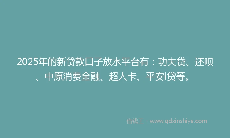 2025年的新贷款口子放水平台有：功夫贷、还呗、中原消费金融、超人卡、平安i贷等。