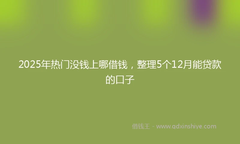 2025年热门没钱上哪借钱，整理5个12月能贷款的口子