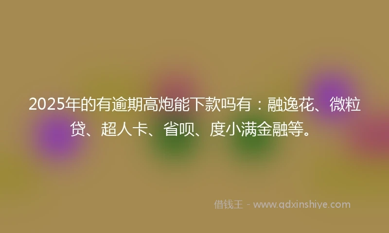 2025年的有逾期高炮能下款吗有：融逸花、微粒贷、超人卡、省呗、度小满金融等。