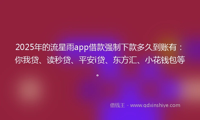 2025年的流星雨app借款强制下款多久到账有：你我贷、读秒贷、平安i贷、东方汇、小花钱包等。