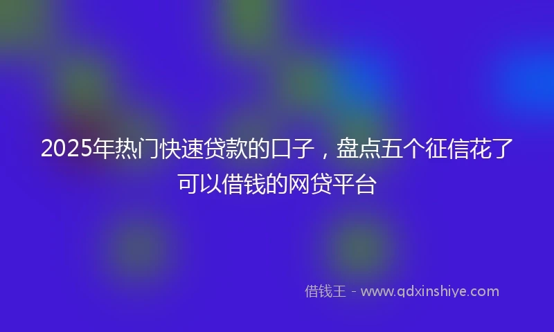 2025年热门快速贷款的口子，盘点五个征信花了可以借钱的网贷平台