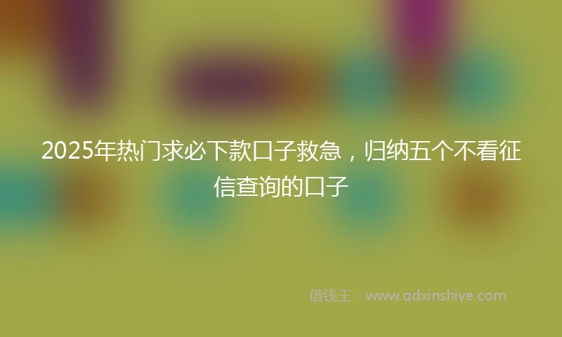 2025年热门求必下款口子救急，归纳五个不看征信查询的口子