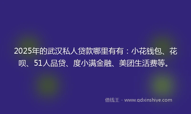 2025年的武汉私人贷款哪里有有：小花钱包、花呗、51人品贷、度小满金融、美团生活费等。