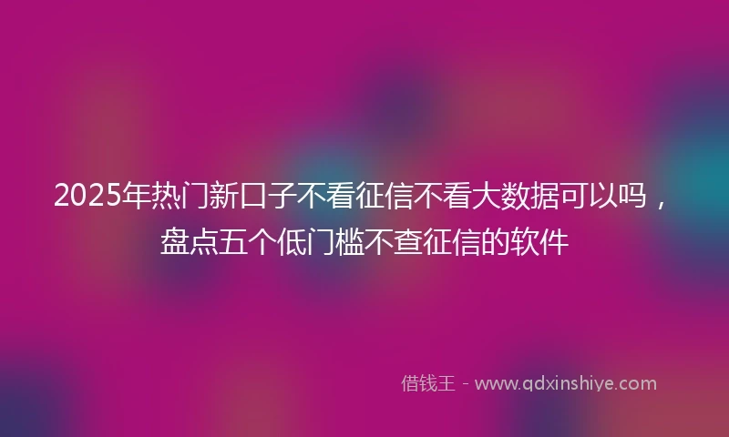 2025年热门新口子不看征信不看大数据可以吗，盘点五个低门槛不查征信的软件