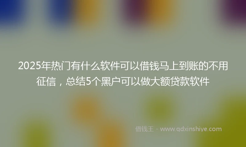 2025年热门有什么软件可以借钱马上到账的不用征信，总结5个黑户可以做大额贷款软件