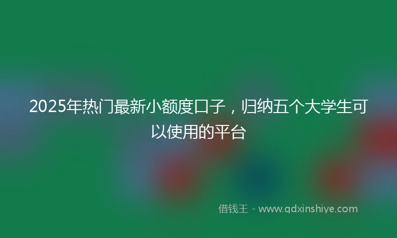 2025年热门最新小额度口子，归纳五个大学生可以使用的平台
