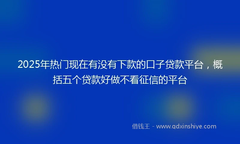 2025年热门现在有没有下款的口子贷款平台，概括五个贷款好做不看征信的平台