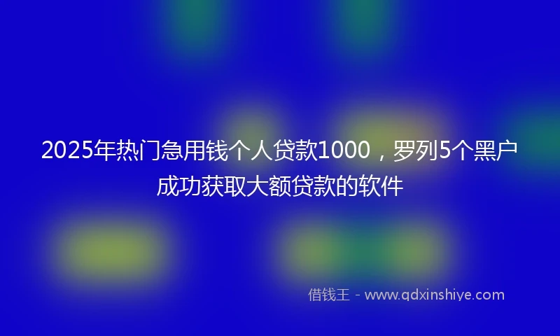 2025年热门急用钱个人贷款1000，罗列5个黑户成功获取大额贷款的软件