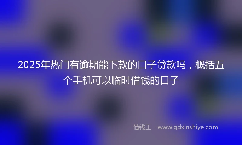 2025年热门有逾期能下款的口子贷款吗，概括五个手机可以临时借钱的口子
