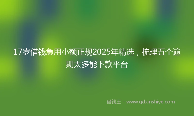 17岁借钱急用小额正规2025年精选，梳理五个逾期太多能下款平台