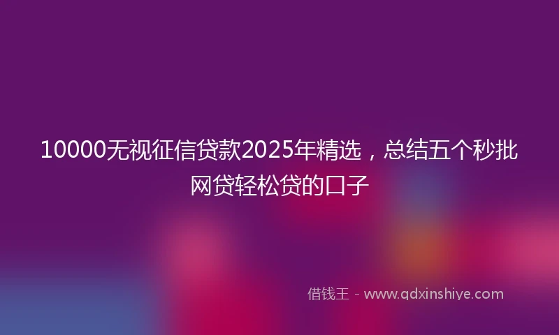 10000无视征信贷款2025年精选，总结五个秒批网贷轻松贷的口子