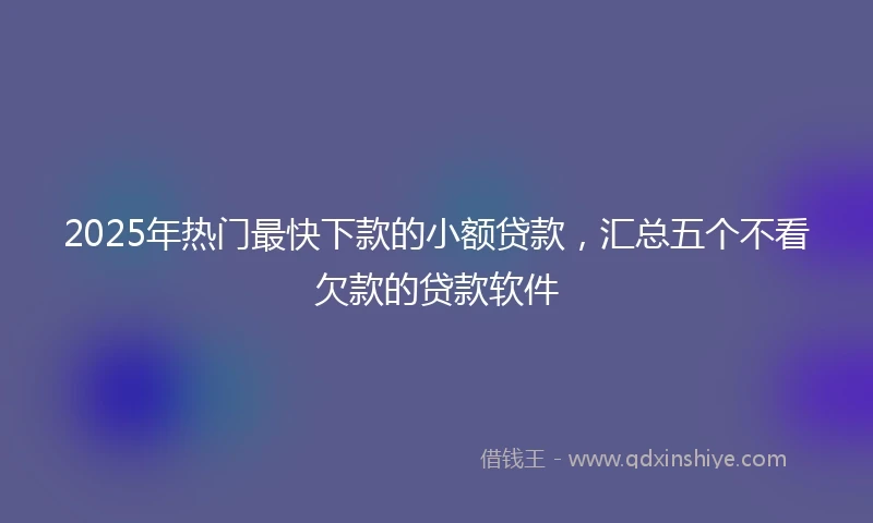 2025年热门最快下款的小额贷款，汇总五个不看欠款的贷款软件