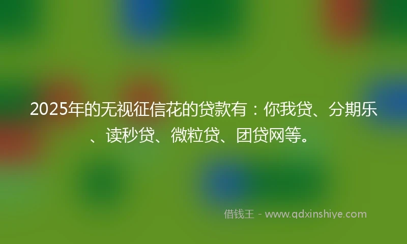 2025年的无视征信花的贷款有：你我贷、分期乐、读秒贷、微粒贷、团贷网等。