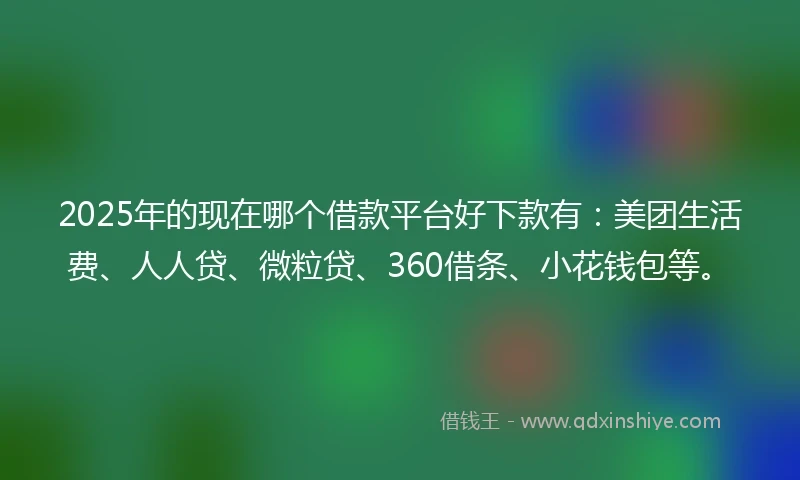 2025年的现在哪个借款平台好下款有：美团生活费、人人贷、微粒贷、360借条、小花钱包等。