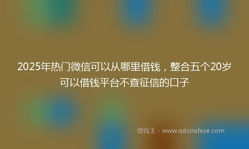 2025年热门微信可以从哪里借钱，整合五个20岁可以借钱平台不查征信的口子