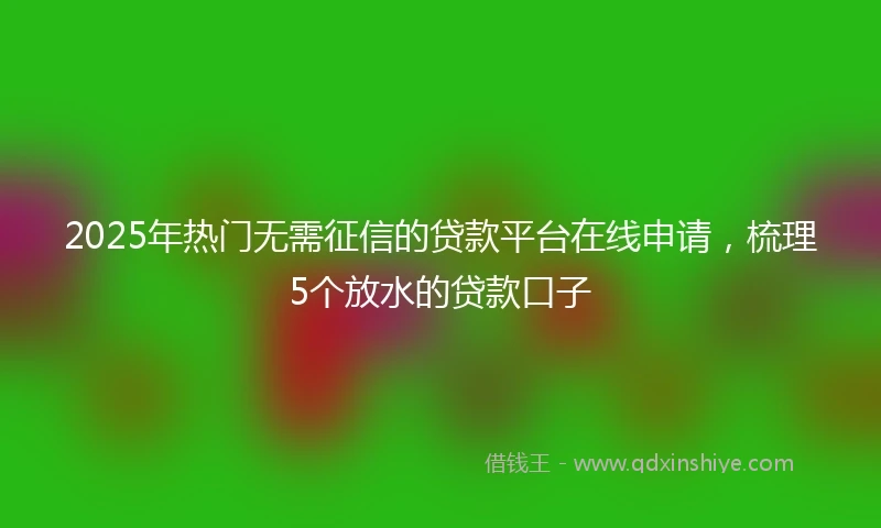 2025年热门无需征信的贷款平台在线申请，梳理5个放水的贷款口子