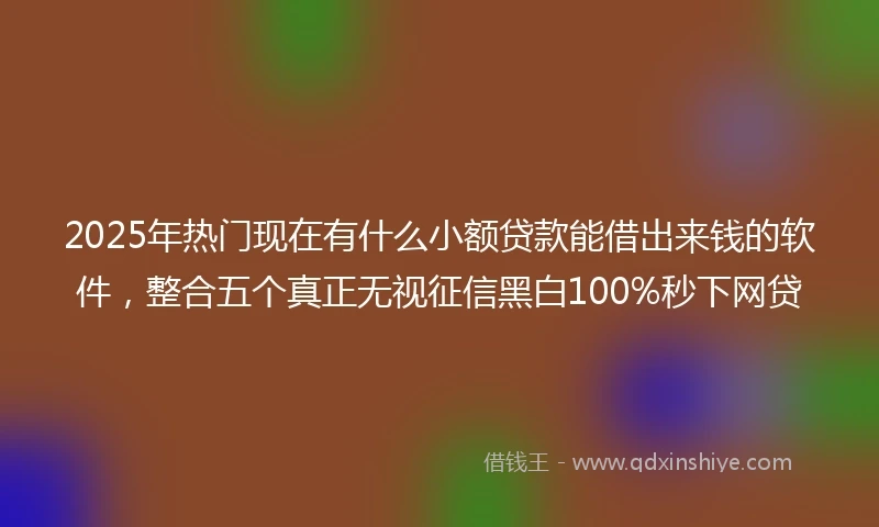 2025年热门现在有什么小额贷款能借出来钱的软件，整合五个真正无视征信黑白100%秒下网贷
