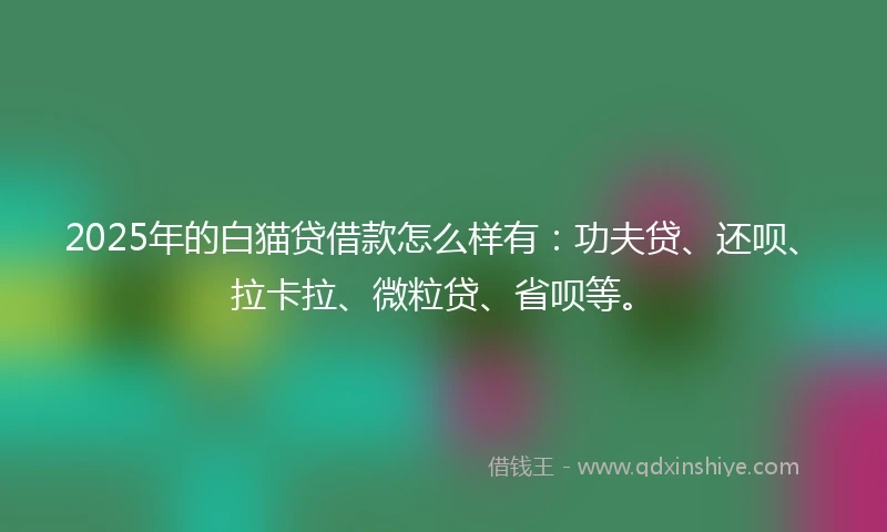 2025年的白猫贷借款怎么样有：功夫贷、还呗、拉卡拉、微粒贷、省呗等。
