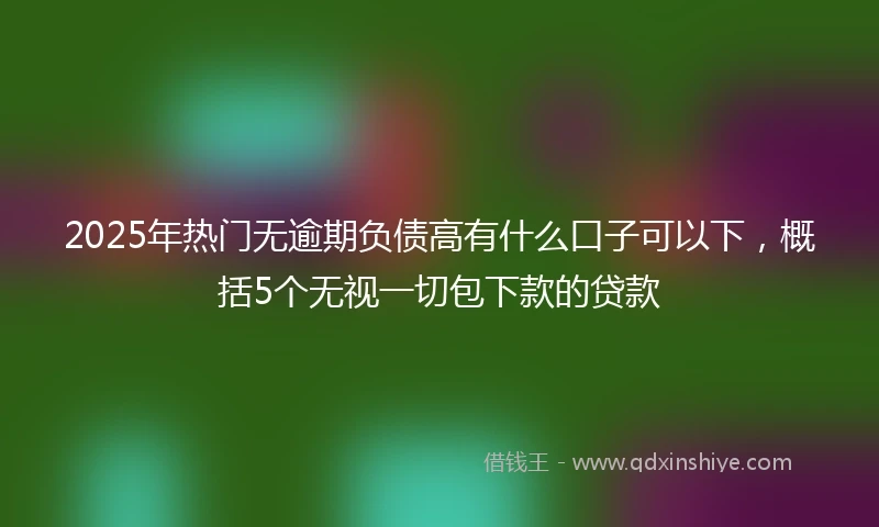 2025年热门无逾期负债高有什么口子可以下，概括5个无视一切包下款的贷款