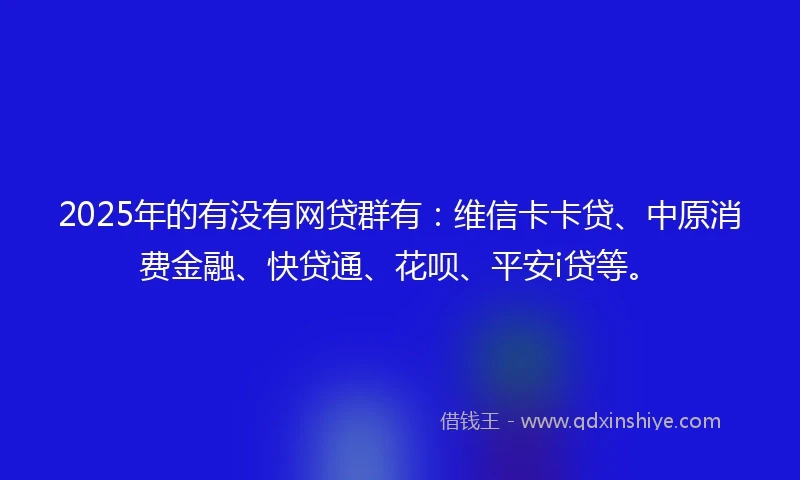 2025年的有没有网贷群有：维信卡卡贷、中原消费金融、快贷通、花呗、平安i贷等。