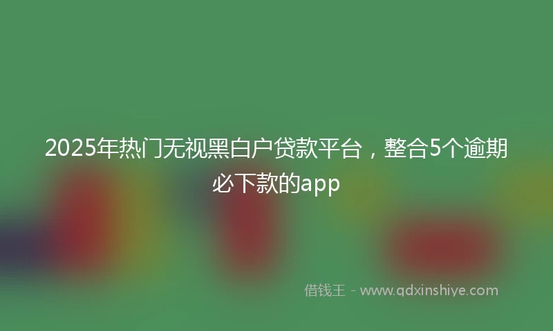 2025年热门无视黑白户贷款平台，整合5个逾期必下款的app