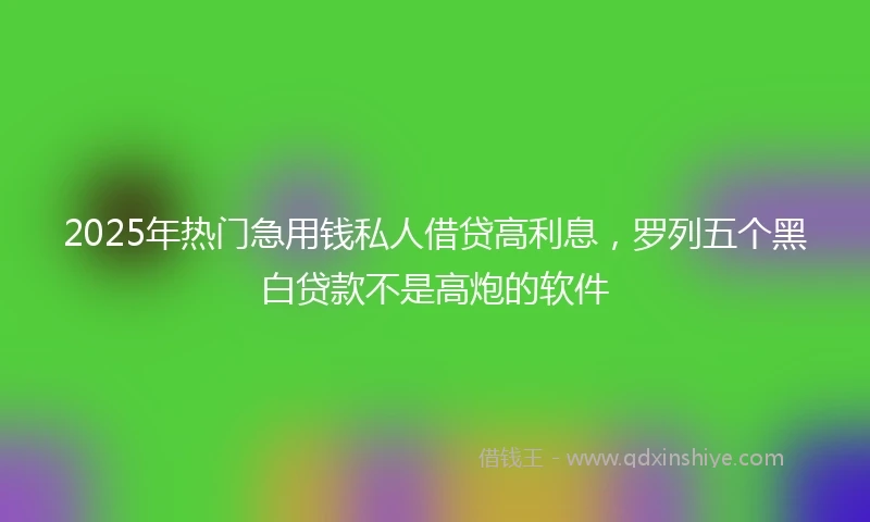 2025年热门急用钱私人借贷高利息，罗列五个黑白贷款不是高炮的软件