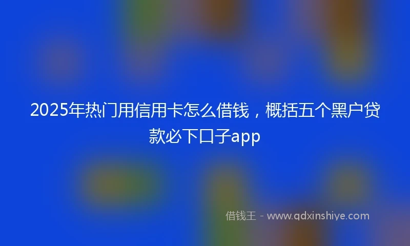 2025年热门用信用卡怎么借钱，概括五个黑户贷款必下口子app