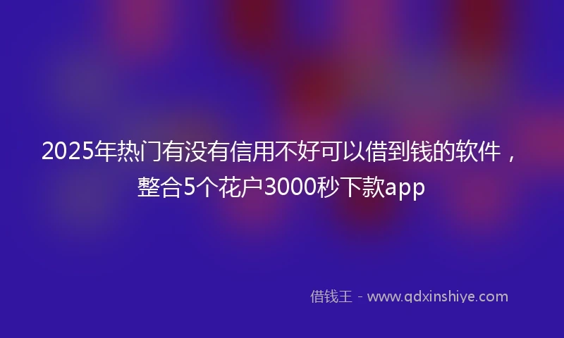 2025年热门有没有信用不好可以借到钱的软件，整合5个花户3000秒下款app