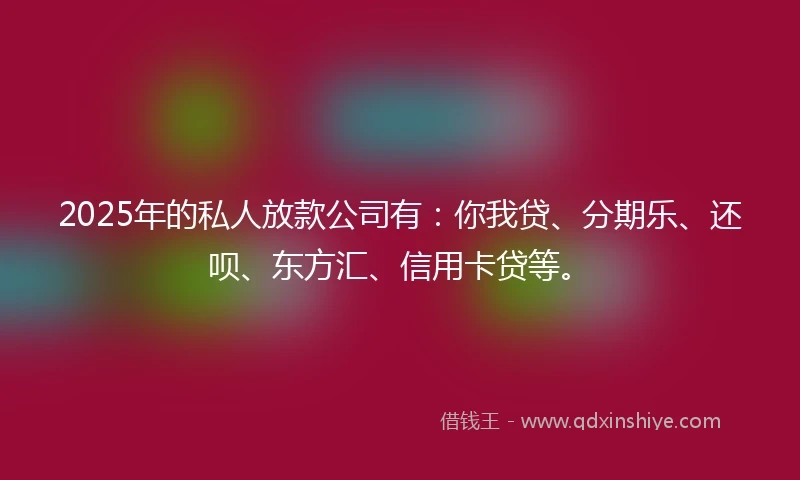 2025年的私人放款公司有：你我贷、分期乐、还呗、东方汇、信用卡贷等。