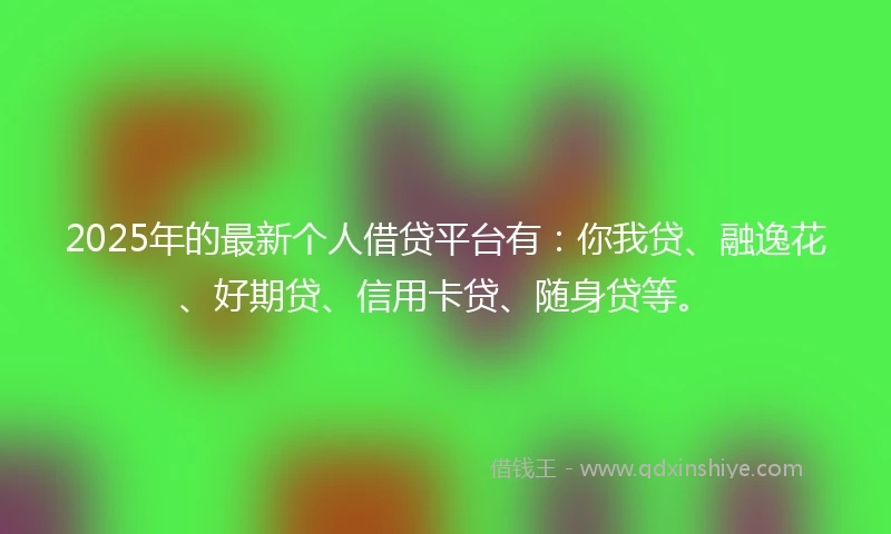 2025年的最新个人借贷平台有：你我贷、融逸花、好期贷、信用卡贷、随身贷等。