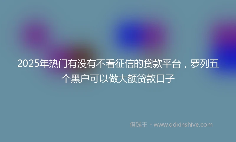 2025年热门有没有不看征信的贷款平台，罗列五个黑户可以做大额贷款口子