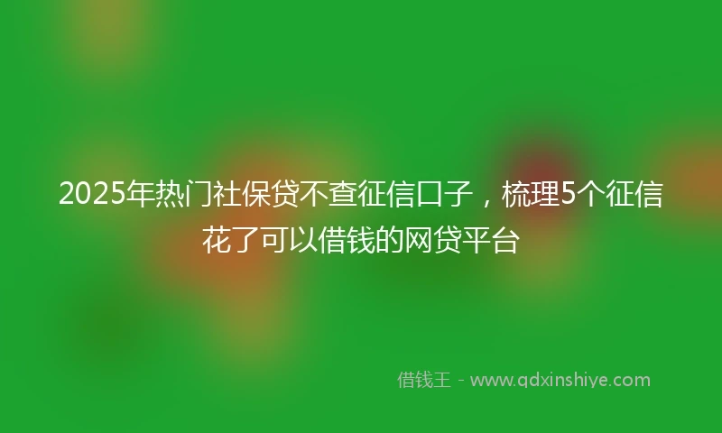 2025年热门社保贷不查征信口子，梳理5个征信花了可以借钱的网贷平台