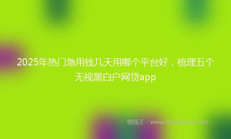 2025年热门急用钱几天用哪个平台好，梳理五个无视黑白户网贷app