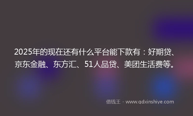 2025年的现在还有什么平台能下款有：好期贷、京东金融、东方汇、51人品贷、美团生活费等。