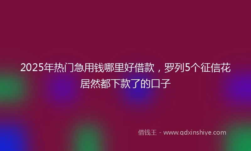 2025年热门急用钱哪里好借款，罗列5个征信花居然都下款了的口子
